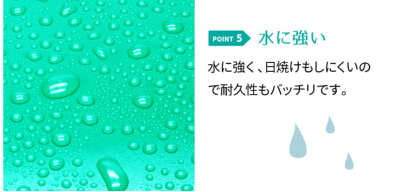 パナシア】 220mm×5m 屋外中期4年 カッティング用シート