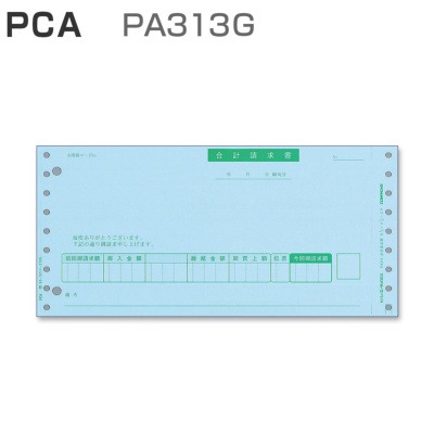 PCA PA313G v