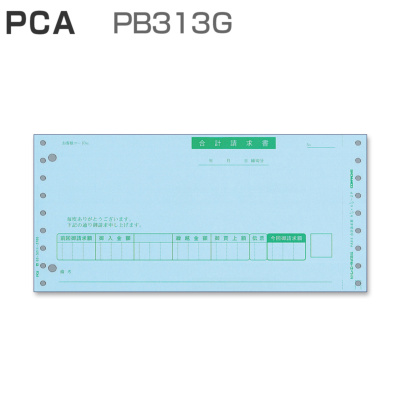 PCA PB313G v